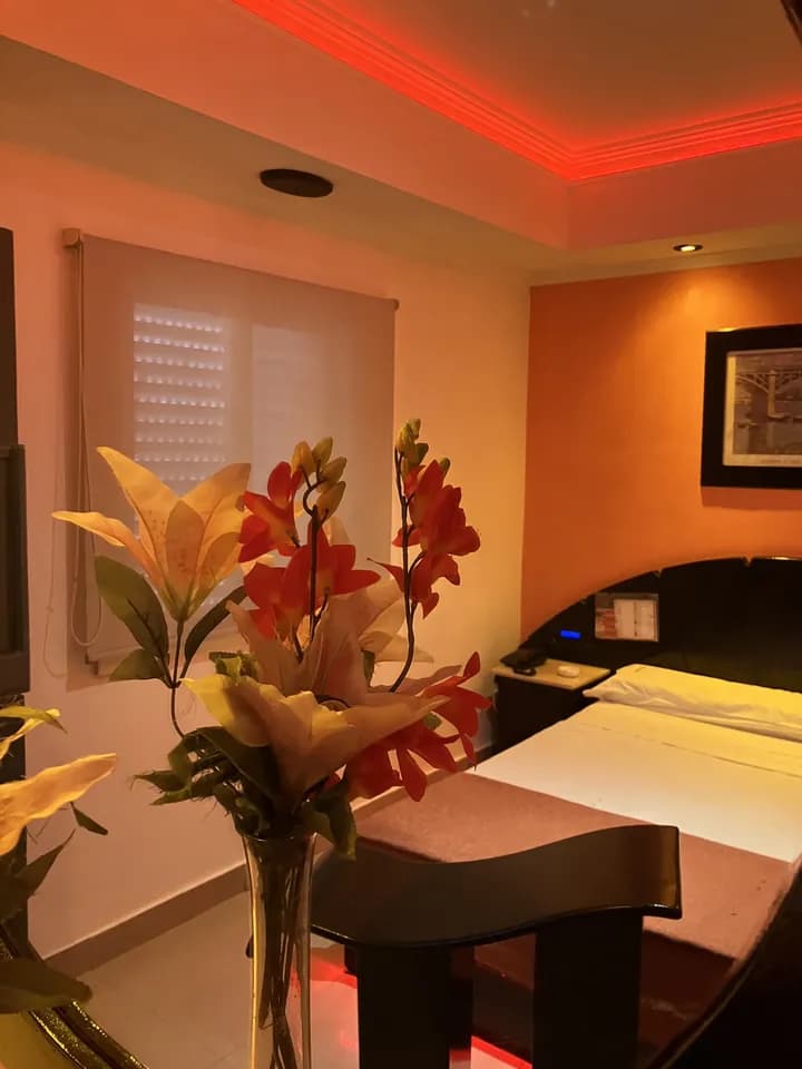 Hotel Obsession - imagen 9