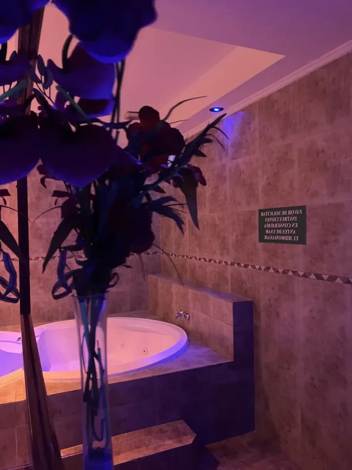 Hotel Obsession - imagen 17